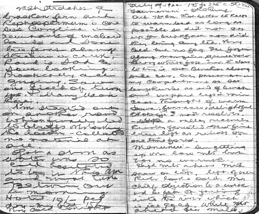 page from R. B. Wylie's journal